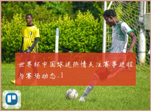 世界杯中国球迷热情关注赛事进程与赛场动态_1